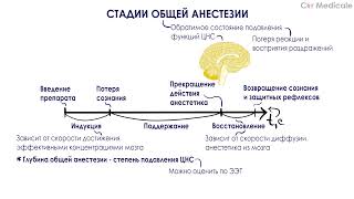 Стадии общей анестезии - Общие и местные анестетики