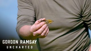 Gordon Ramsay Is Shocked At The Size Of Termites In Laos Gordon Ramsay Uncharted