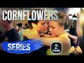 Cornflowers — Episode 2 | Romantic Drama
