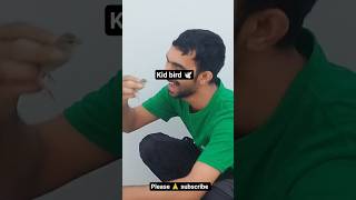 kid bird 🐦 #youtubeshorts #saudiaarbia #video #foryou #explore #funny #comedydailyvlog