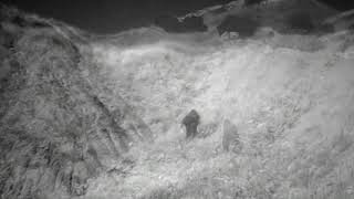 Yew - A Cruel and Desolate Expanse