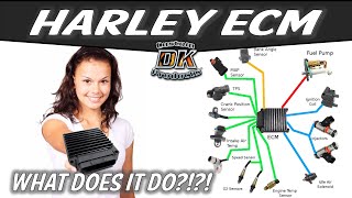How the Electronic Control Module (ECM) Adapts