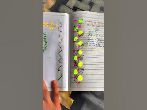 watch till end please#kinna computer pratical python program class 9th ...