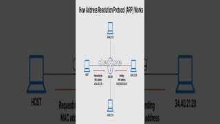 How Address Resolution Protocol ARP Works