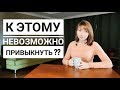 К ЭТОМУ НЕЛЬЗЯ ПРИВЫКНУТЬ В КОРЕЕ??