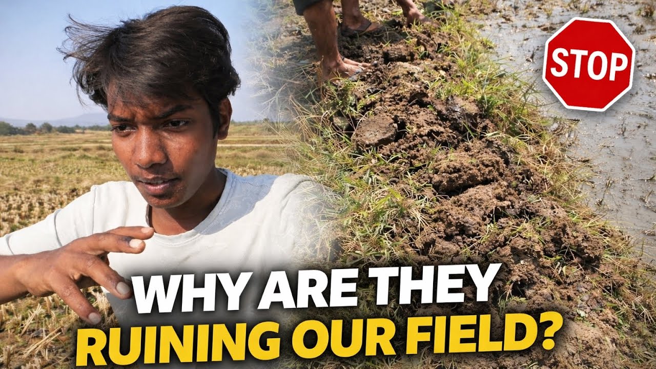 Why Are They Ruining Our Field 🤔