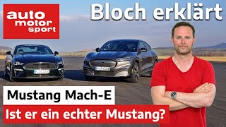 Ford Mustang Mach-E: Ein echter Mustang? - Drag Race gegen Mustang Bullitt V8 - Bloch erklärt #134