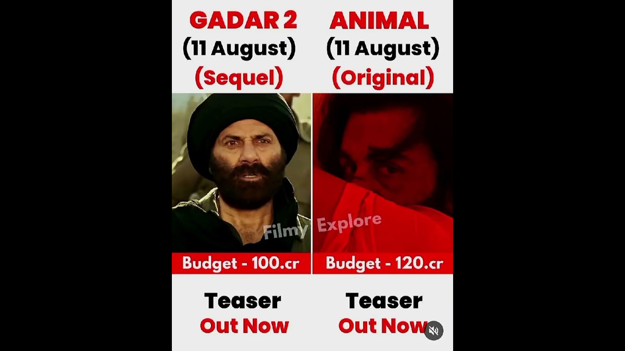 Gadar 2 VS Animal movie comparison box office collection 