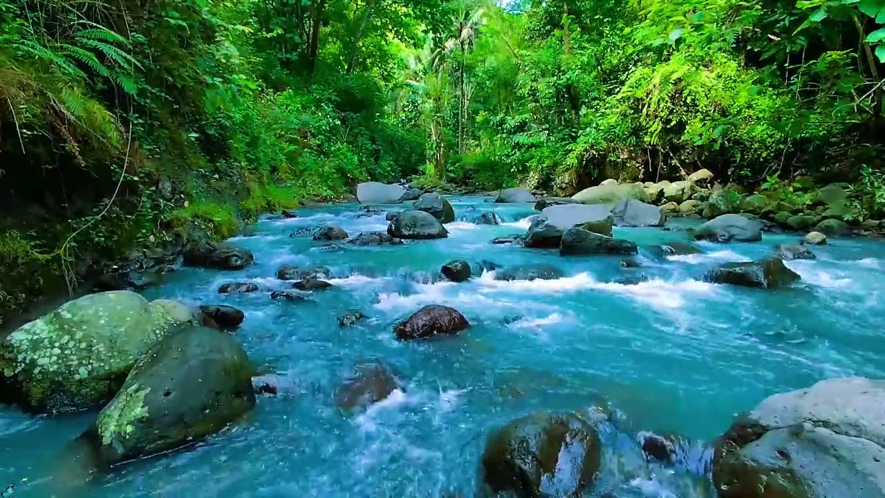 Peaceful Morning River Sounds 🌲💧 Calm Water Sounds for Relax