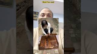 Ancient Indian Engineering Secrets | The First Natural Cement Mortar #shorts #viral #history