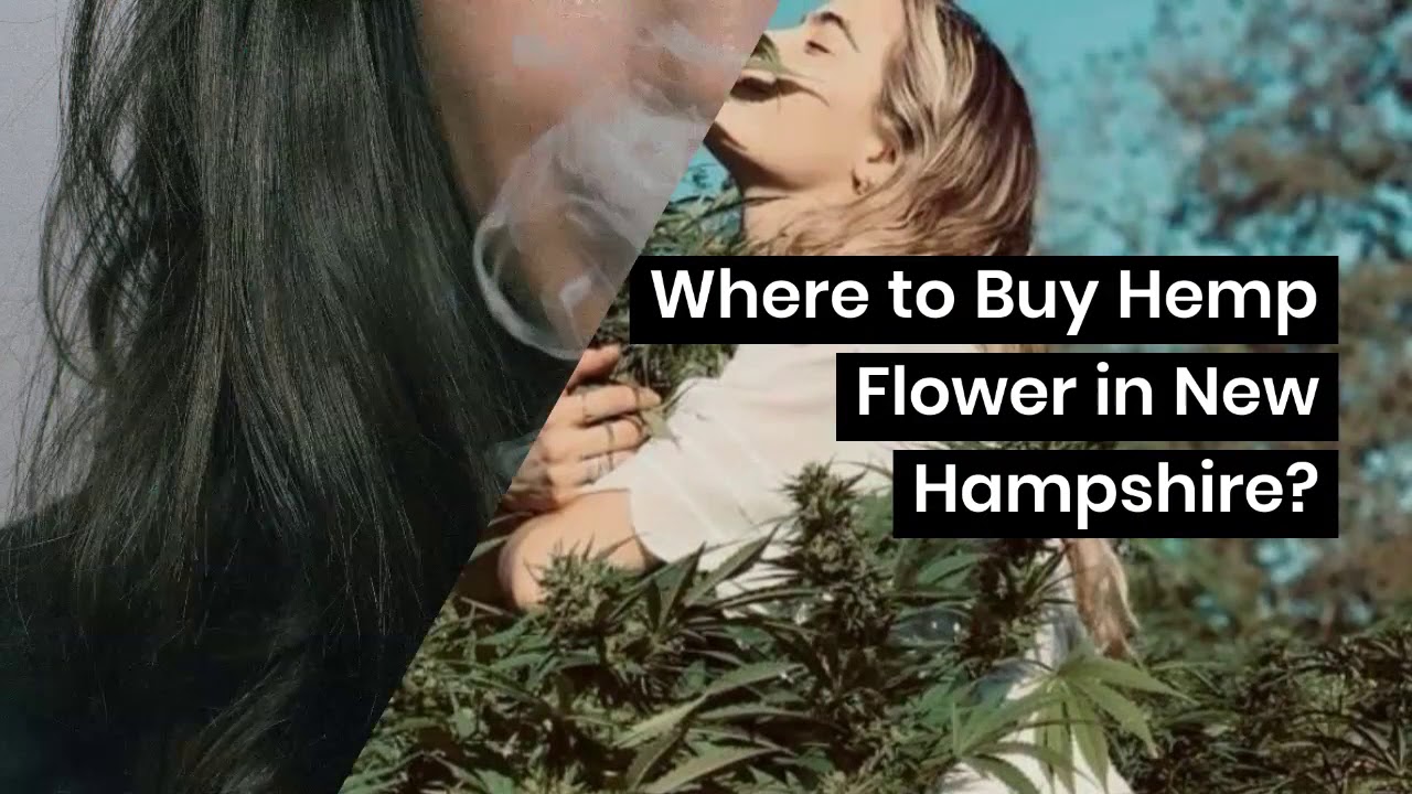 Buying Hemp Flower In New Hampshire- What You Need To Know