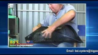 Assemble a BST Oyster Basket