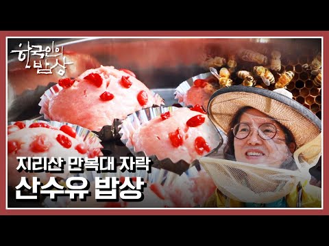 <strong>산수유</strong> 군락이 절경인 <strong>지리산</strong> 오지마을의 건강 밥상 | “또다시 흐른다 - 섬진강의 봄날” (KBS 210415 방송)