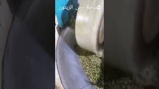 مراحل عصر زيت الزيتون