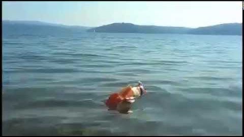 Aquaai Does ThinkBigFest