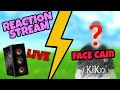 Reaction stream live mit facecam  max kaske