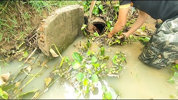 Massive Clogged!!! Removal Trash Clogged Culvert  Drain Water Cross A Way To Farm #unclogging