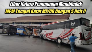 Musim Libur Tiba‼️Pemumpang Membludak MIYOR \u0026 MPM Panen Raya 5 Unit Menuju Sumbar
