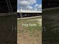 Hog farm/come at work with me #subscribe #shorts #lifestyle #cometoworkwithme