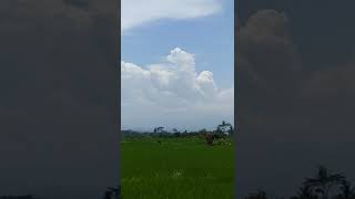 lukisan langit lukisan langit