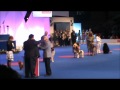 Best in Show  ; World Dog Show 2011 in Paris