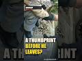 A Thumbprint Before He Leaves 🚨  San Francisco Police Bodycam