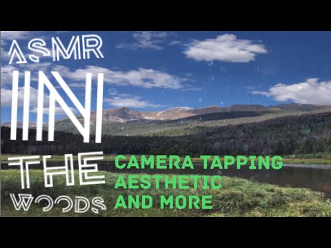 ASMR: Lofi camera tapping in the woods + wood sounds