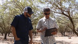 Smart Irrigation Solutions - La Mancha Orchard