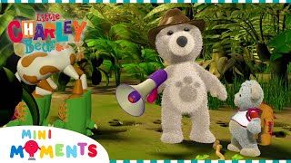 Charley Discovers Dinosaurs 🦖 | Little Charley Bear | Full Episodes | Mini Moments by Mini Moments  853 views 9 days ago 1 hour, 2 minutes