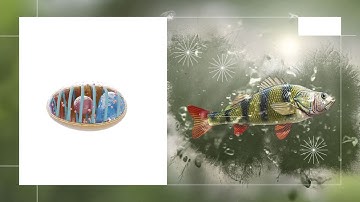 Protecting shrimp from EHP with AquaDefense