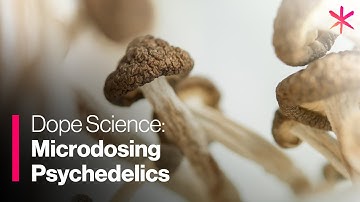 Microdosing Psychedelics