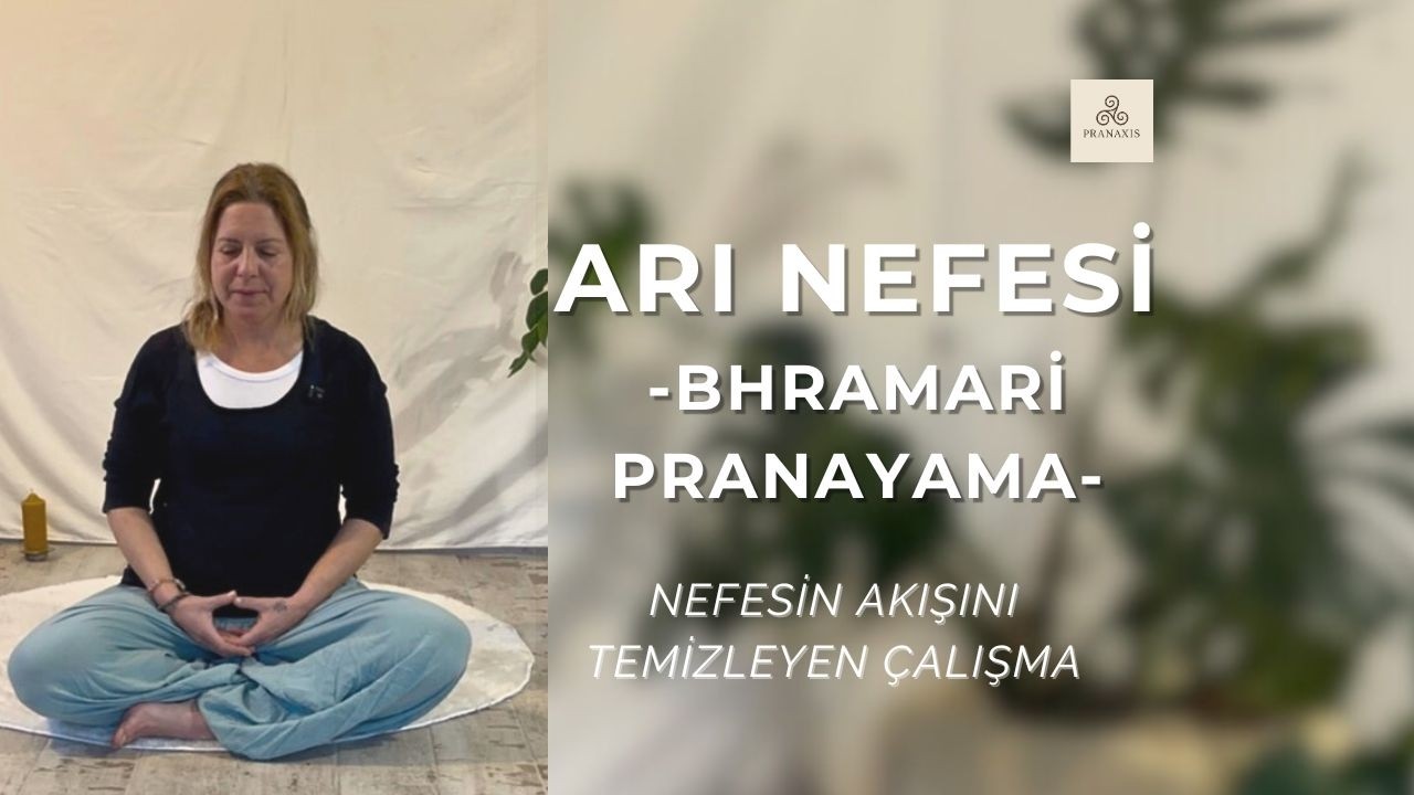 Arı Nefesi (Bhramari Pranayama): Sinüsleri Temizleyen ve Bedeni Rahatlatan Nefes