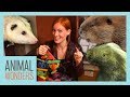 Late Night Unboxing With Our Nocturnal Animals!