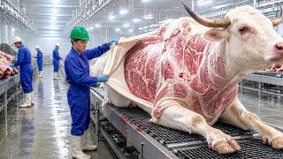 Inside Secret $1M Red Brahman Bull Factory | Luxury Leather Production Secrets EXPOSED 4K