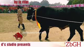 161 Bd Cattle Expo Just Arrived Meghdubi Agro Zbgh 2018