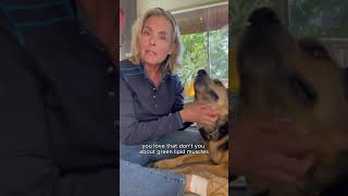 Famous Stump’s feeling so much better lately! 🐾 Wealth