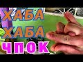 ХАБА ХАБА 2018! Как сделать хабу хабу самому? приколюха мастХЭВ...