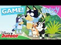 Superfan Quiz | 🐶 Bluey | Disney Junior Africa