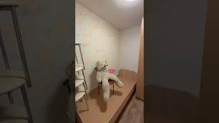 Квартира в Одессе за 15,000$ #одесса #недвижимость