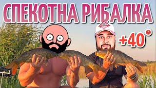 картинка: Шалені коропи дали жару! Новий ставок! +КОНКУРС