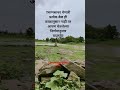 motivational quotes #shortvideo #motivationalvideo #maharastra #mpsc#time#change#ytshorts #decision