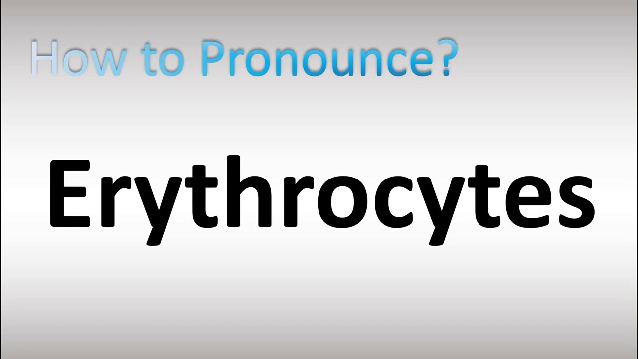 How to Pronounce Erythrocytes