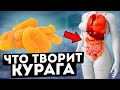 Даже одна КУРАГА может вызвать необратимый процесс в организме