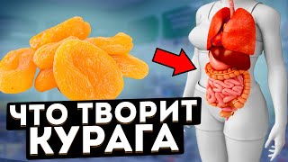 Даже одна КУРАГА может вызвать необратимый процесс в организме