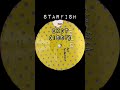 Starfish – Exit (1997) (Pull The Strings) #hardtrance #90stechno #90strance #oldschooltechno