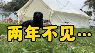 鐵牛旅行記96集/自駕游遇見的一隻流浪狗2年後再次相遇它還會記得我場面太暖心了狗真的懂得感恩#流浪狗救助 #環遊中國 #艾倫【正版鐵牛旅行記Allen】