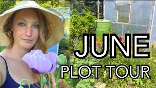 June Plot Tour || Plot 37