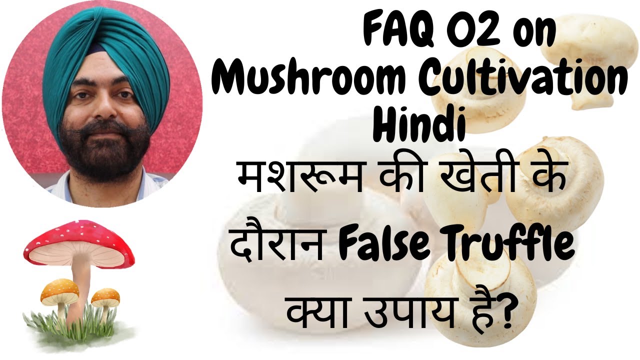 Mushroom Cultivation FAQ 02(Hindi) मशरूम की खेती के दौरान False