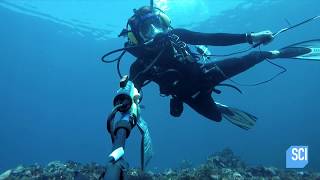 The Perils of Searching for Sunken Treasure