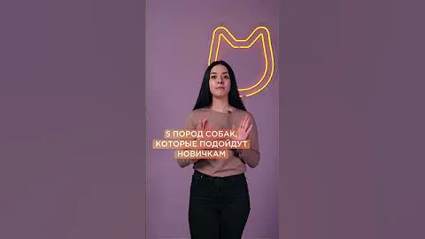 5 пород собак для новичков #shorts #породысобак
